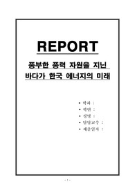 풍부한 풍력 자원을 지닌 바다가 한국 에너지의 미래