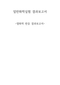 열화학 반응 일반화학실험 결과보고서
