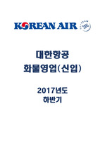 Excellence in Flight Korean air. 대한항공 화물영업(신입) 2017년 하반기 합격 자기소개서(자기소개서 작성법, 면접 준비 포함)