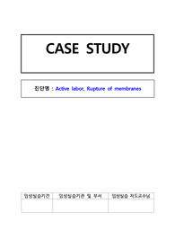 브이심(vsim) Brenda Pattom(Complex) 간호진단 및 간호과정 레포트