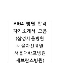 2023 빅4병원 합격 자기소개서 모음 (삼성서울, 서울아산, 서울대, 세브란스)