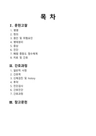 [성인간호학실습] 폐렴(Pneumonia) 케이스스터디 (간호과정 2개)