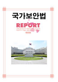 국가 보안법