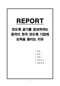 반도체 굴기를 달성하려는 중국이 한국 반도체 기업에 눈독을 들이는 이유