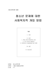 청소년 문제에 대한 사회복지적 개입 방법