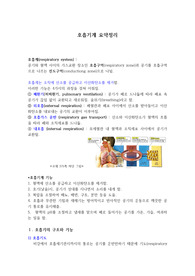 [성인간호학A+ 자료] 호흡기계 요약 정리(구조와 기능, 폐의 용적과 용량, 가스교환, 호흡조절, 호흡이상)
