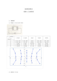 [건국대]물리학및실험2 A+레포트(자필토의)-4등전위선