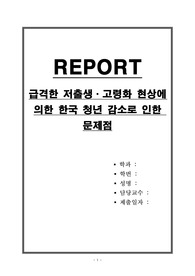 급격한 저출생,고령화 현상에 의한 한국 청년 감소로 인한 문제점