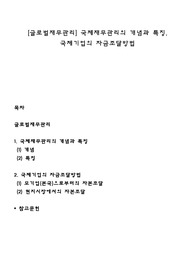 [글로벌재무관리] 국제재무관리의 개념과 특징, 국제기업의 자금조달방법