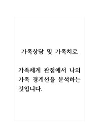 가족상담및가족치료_가족체계 관점에서 나의 가족 경계선을 분석하는 것입니다.