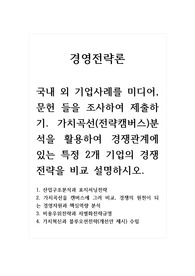 경영전략론_국내 외 기업사례를 미디어, 문헌 들을 조사하여 제출하기. 가치곡선(전략캠버스)분석을 활용하여 경쟁관계에 있는 특정 2개 기업의 경쟁전략을 비교 설명하시오.