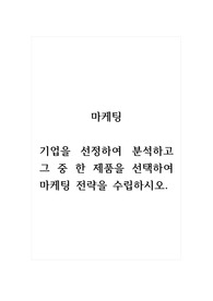마케팅_기업을 선정하여 분석하고 그 중 한 제품을 선택하여 마케팅 전략을 수립하시오.