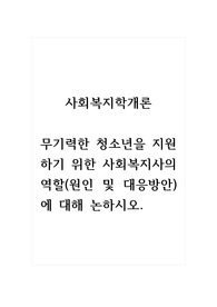 사회복지학개론_무기력한 청소년을 지원하기 위한 사회복지사의 역할(원인 및 대응방안)에 대해 논하시오. (3)