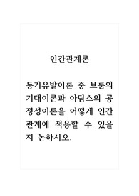 인간관계론_동기유발이론 중 브룸의 기대이론과 아담스의 공정성이론을 어떻게 인간관계에 적용할 수 있을지 논하시오.
