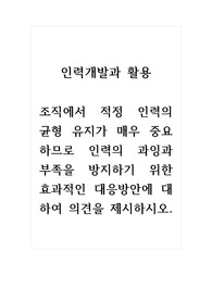 인력개발과활용_조직에서 적정 인력의 균형 유지가 매우 중요하므로 인력의 과잉과 부족을 방지하기 위한 효과적인 대응방안에 대하여 의견을 제시하시오.