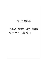 청소년복지론_청소년 폭력의 요인(위험요인과 보호요인) 탐색