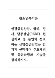 청소년복지론_인간중심상담, 합리, 정서, 행동상담(REBT), 현실치료 중 본인이 선호하는 상담접근방법을 한 가지 선택하여 주요개념 및 상담과정과 기술을 정리하시오.