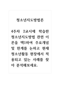 청소년지도방법론_4주차 2교시에 학습한 청소년지도방법 관련 이론을 택1하여 주요개념 및 한계를 논하고 현재 청소년활동 현장에서 적용되고 있는 사례를 찾아 분석해보세요.