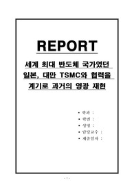 세계 최대 반도체 국가였던 일본, 대만 TSMC와 협력을 계기로 과거의 영광 재현