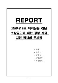 코로나19로 어려움을 겪은 소상공인에 대한 정부 자금 지원 정책의 문제점