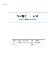 sim 실습 방문간호 (홀로사는 노인간호하기)