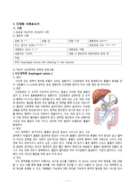 응급실 간경화환자의 식도정맥류파열에 관한 간호과정3개. 쇼크의 위험, 출혈, 지식부족