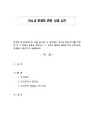 청소년문제에 관한 나의 소견