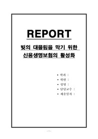 빚의 대물림을 막기 위한 신용생명보험의 활성화