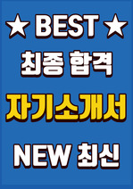 E1 경영지원 최종합격 자기소개서(자소서)