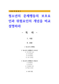 청소년의 문제행동의 보호요인과 위험요인의 개념을 비교 설명하라