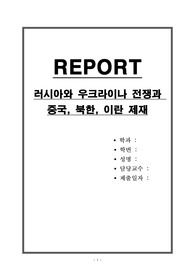 러시아와 우크라이나 전쟁과 중국, 북한, 이란 제재