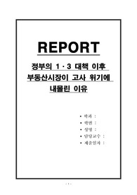 정부의 1,3 대책 이후 부동산시장이 고사 위기에 내몰린 이유
