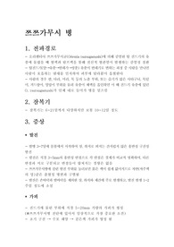 가을철발열성질환 자료 정리(쯔쯔가무시병, 렙토스피라증, 신증후군출혈열)