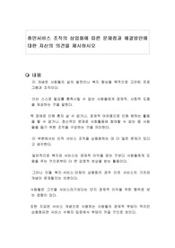 휴먼서비스 조직의 상업화에 따른 문제점과 해결방안에 대한 자신의 의견을 제시하시오