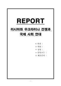 러시아와 우크라이나 전쟁과 국제 사회 연대