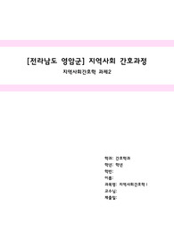 지역사회간호학 과제 A+ [전라남도 영암군 지역사회 간호과정]