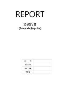담낭염 문헌고찰 입니다.