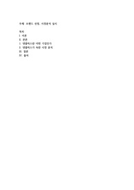 브랜드 선정, 시장분석 실시