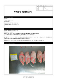 부적합품 발생 보고서