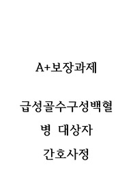 성인간호학- 혈액계/ A+보장/급성골수구성백혈병 대상자 간호사정/간호진단2개/주관적&amp;객관적자료,간호목표, 간호계획,간호수행, 간호평가 포함