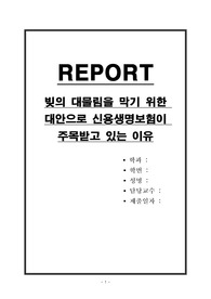 빚의 대물림을 막기 위한 대안으로 신용생명보험이 주목받고 있는 이유