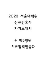 [2023 서울대병원] 빅5병원 신규간호사 서류합격자의 '2023 서울대병원' 자소서 (빅5병원 서류합격인증O)