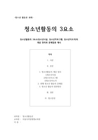 청소년활동의 3요소(청소년시설, 청소년프로그램, 청소년지도자)의 개념 정리와 문제점을 제시