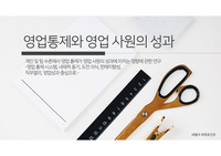 영업통제와 영업 사원의 성과