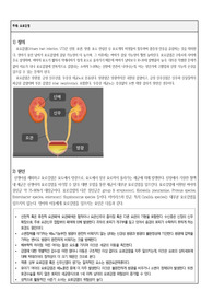 아동간호학 UTI 요로감염 자료조사