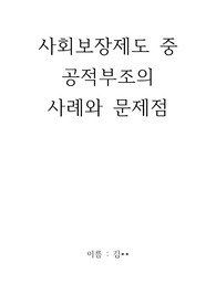 사회보장체계(사회보험, 공적부조, 사회복지서비스) 중 한 가지를 선택하고 선택한 이유와 최근 사례(지난 1년간 뉴스, 기사, 영화, 드라마 등)를 들어 문제점을 제시하시오.