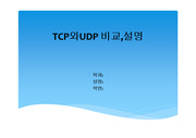 TCP와UDP 비교,설명