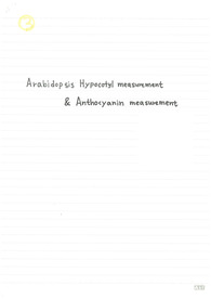 [생명과학과 만점 레포트 A+] Arabidopsis Hypocotyl measurement &amp; Anthocyanin measurement