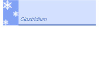 Clostridium botulinum