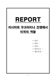 러시아와 우크라이나 전쟁에서 미국의 역할